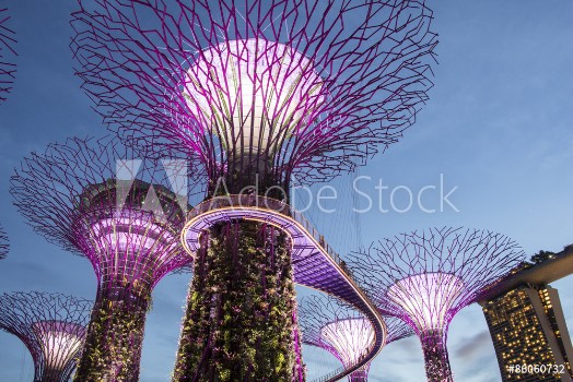Picture of The Supertree at Gardens by the Bay 